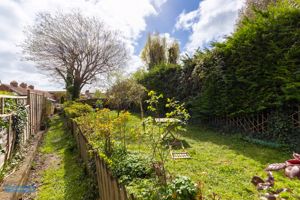 Garden- click for photo gallery